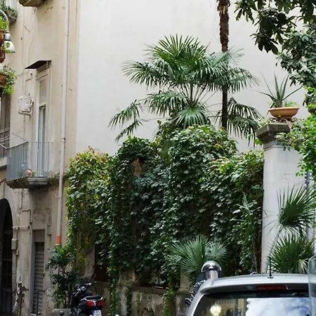 Angelina Apartment *
